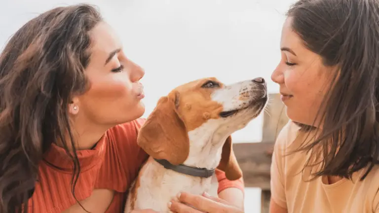 Por Que os Cachorros Cheiram as Pessoas? Entenda Esse Comportamento Curioso